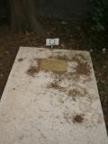 image of grave number 595870